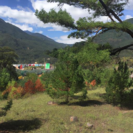 Las mejores opciones económicas de carpas usadas en Bogotá – OLX