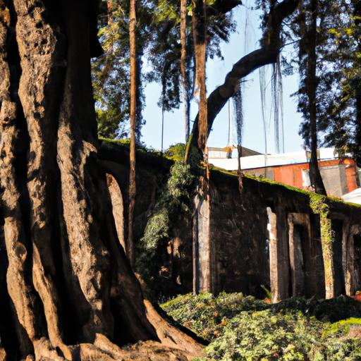Las mejores instituciones educativas para estudiar tecnología en Bogotá