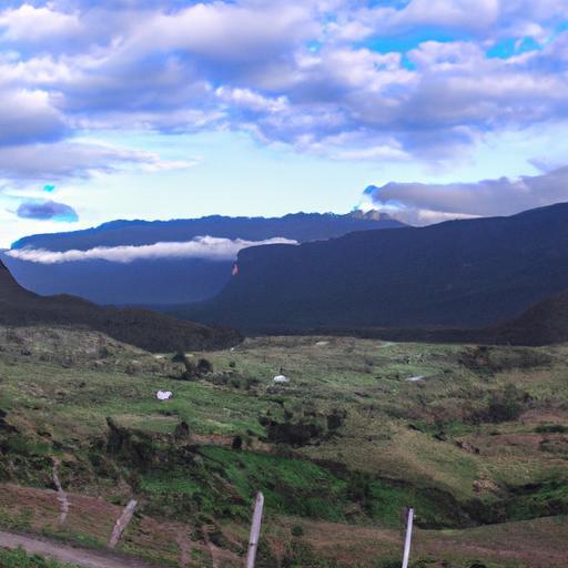 Las mejores tiendas de maletas de viaje en Bogotá: una guía completa