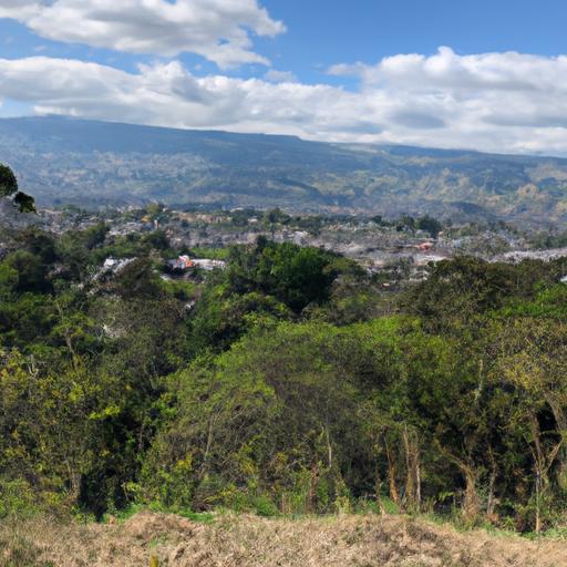 Las mejores fábricas de parasoles y sombrillas en Bogotá: calidad y variedad garantizada