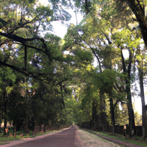 Localiza fácilmente las oficinas de Porvenir en Bogotá y su ubicación