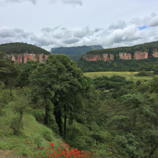 Descubre la cantidad de empresas de reciclaje en Bogotá