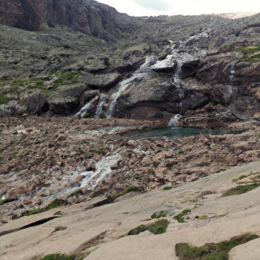 Descubre las increíbles muñecas de trapo en Bogotá